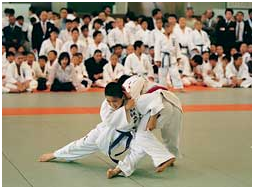 judo
