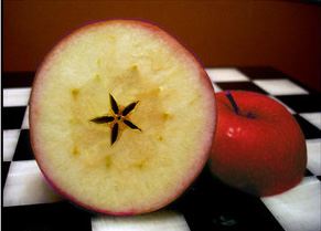 Manzana
