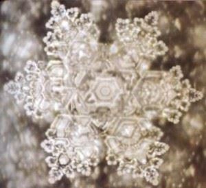 Massaru Emoto cristal de amor1 300x274 Macro Visión 