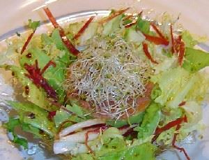 ensalada de alfalfa 2