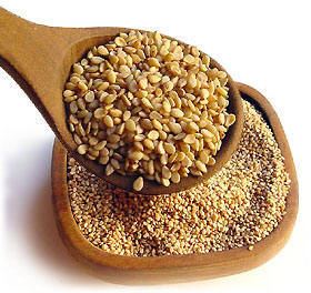 semilla-de-sesamo_