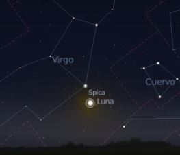spica