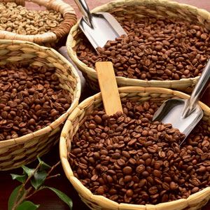 variedades-de-cafe