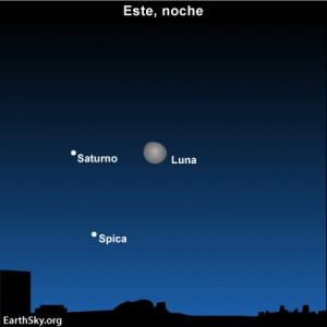 11feb20_430sp-300x300