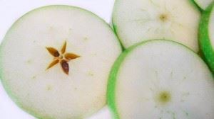 Encuentra-la-estrella-que-hay-en-ti-300x168