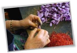 Flores - Cocinando 02