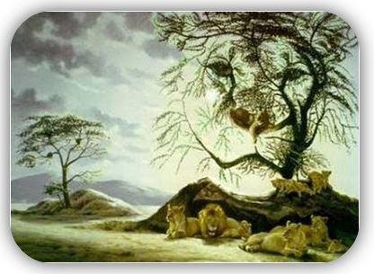 Leones - Observatorio
