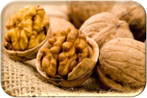 nueces