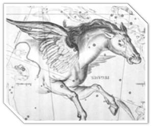 pegaso