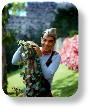 cantinflas co