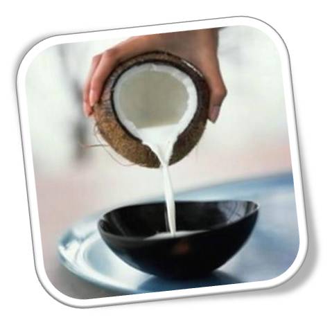 leche de coco leche de coco