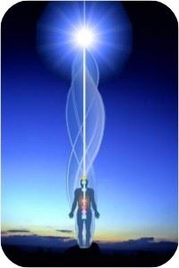 se abre el portal energetico