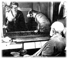 ivan-pavlov