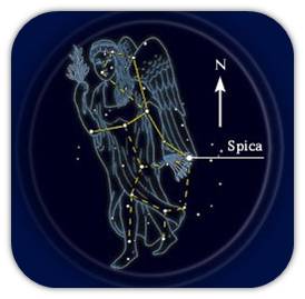 spica