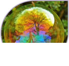 Demanda a la vida sembrando en ella