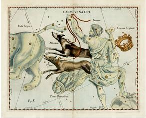 Canes Venatici