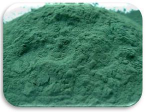 Papas con Spirulina