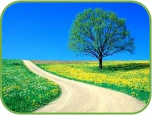 escoge el camino correcto