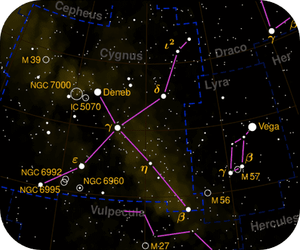 cygnus