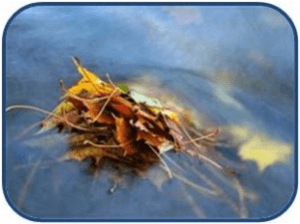 reprimes o restringes