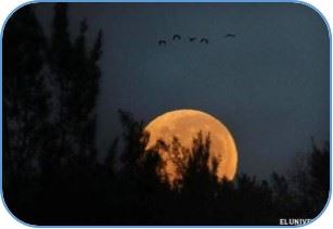 luna mas gradd del 2013