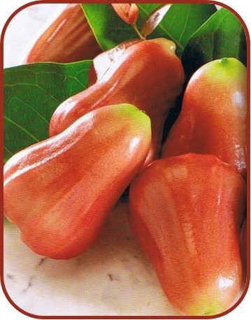 pomorosas