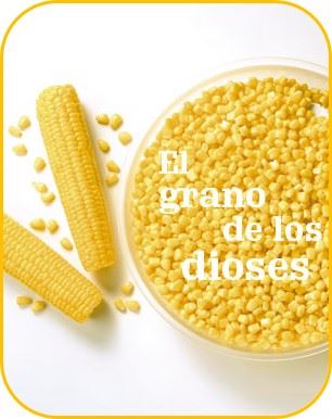 el grano de los dioses