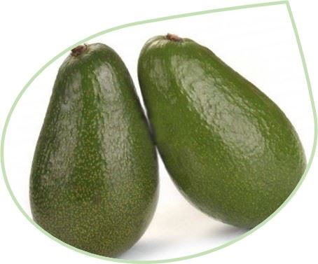 aguacates