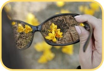 la realidad de las cosas