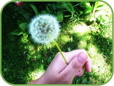 busca el significado de la vida