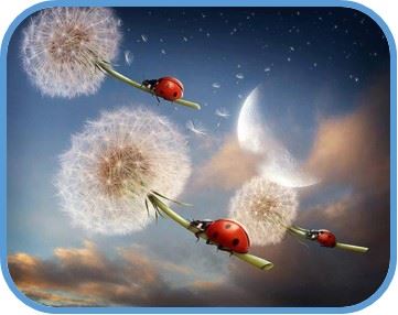 mariquitas volando