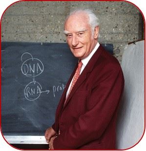 Francis Crick, codescubridos del ADN