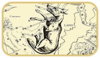 Lupus, el lobo constelacion