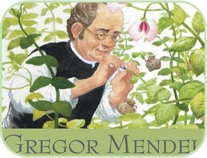 Gregor Mendel