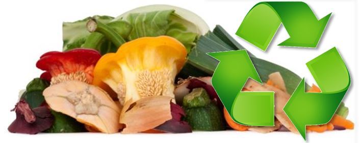 Vegetales
