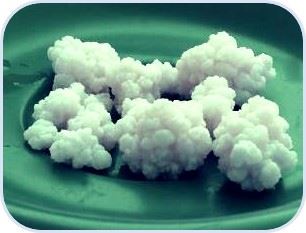Kefir
