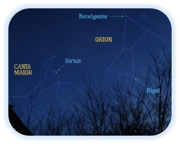 Sirio la estrella canina