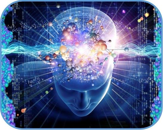 glandula pineal
