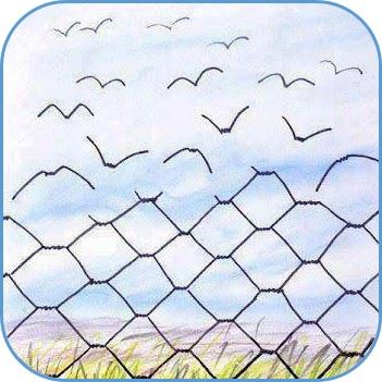 liberate