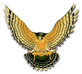 el vuelo del halcon