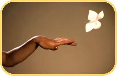 Efecto Mariposa