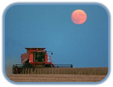 Luna llena de la cosecha
