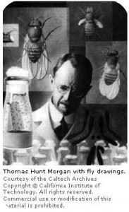 Thomas Hunt Morgan biologo
