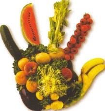 choca las 5 de la alimentacion