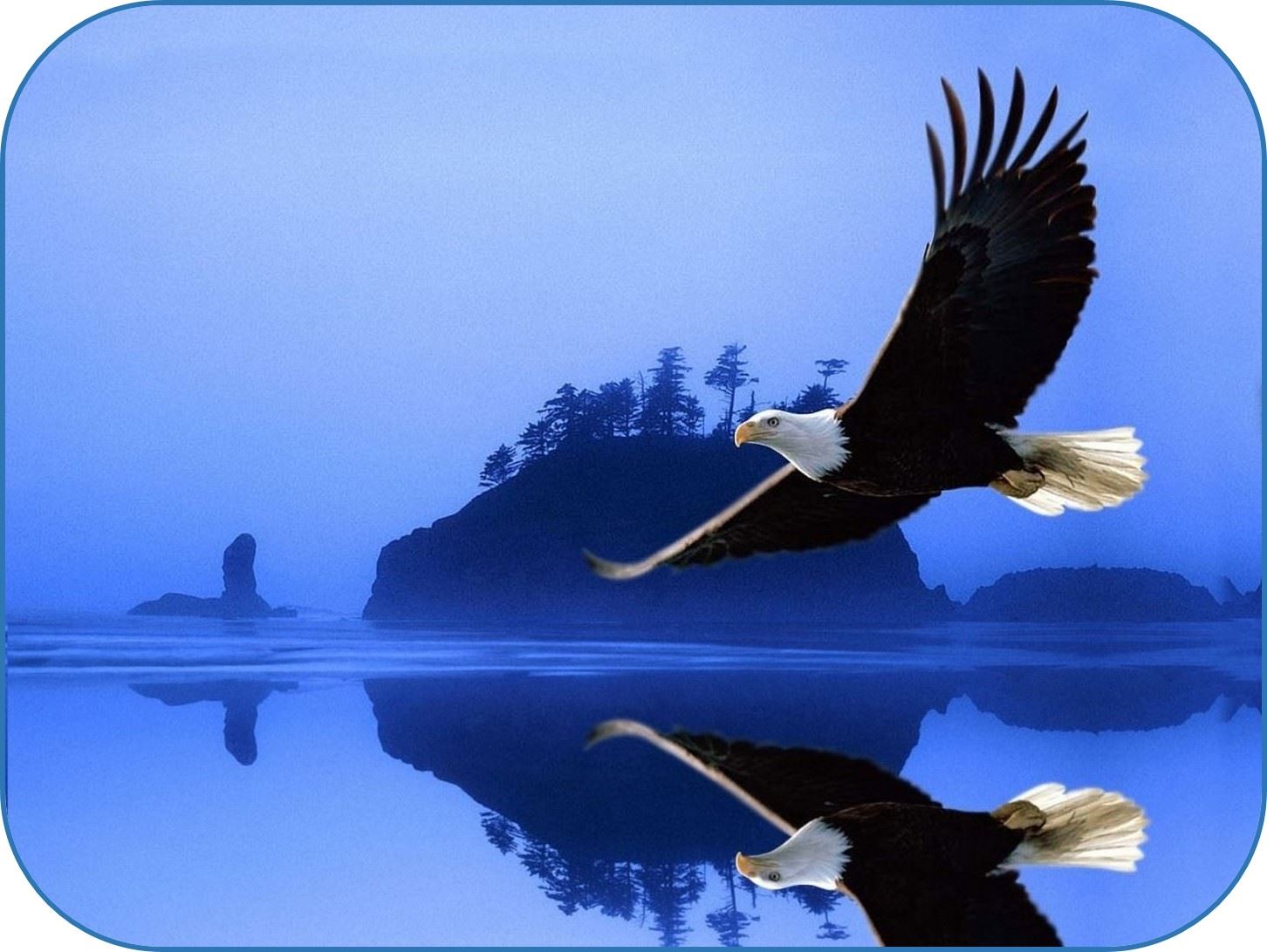 El vuelo del aguila