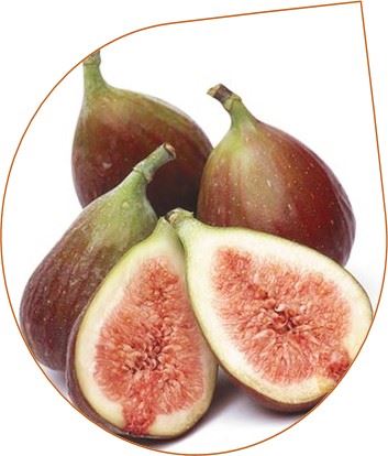 Higos
