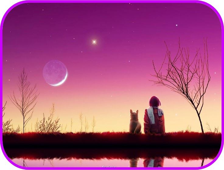 Luna Nueva