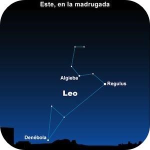 como observar-las leonidas