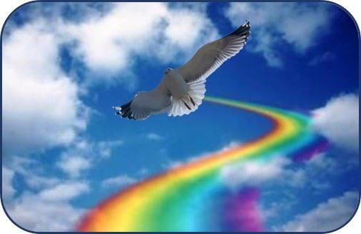 la gaiota y el arco iris