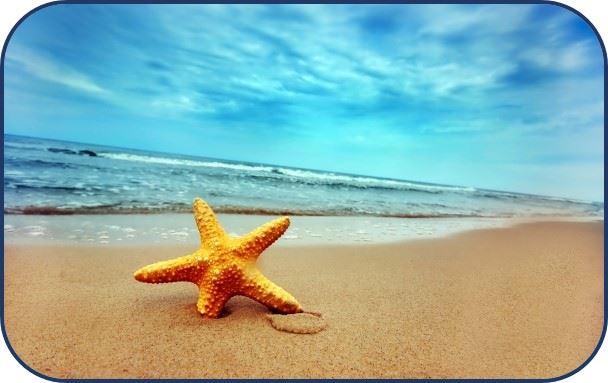 Estrella de mar